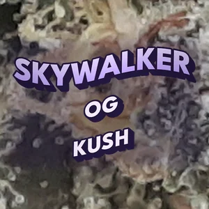 Skywalker OG Kush Cannabis Strain