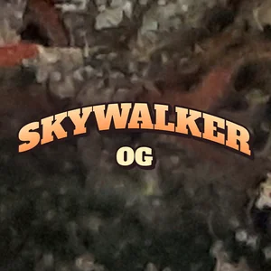 Skywalker OG Cannabis Strain