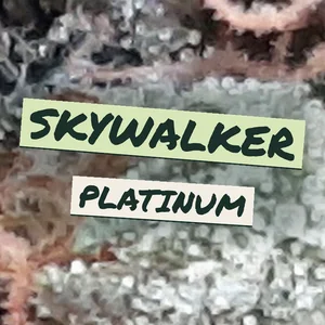 Skywalker Platinum Cannabis Strain