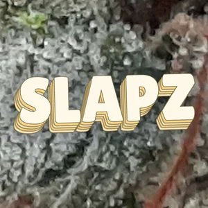 Slapz Cannabis Strain