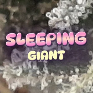 Sleeping Giant Cannabis Strain
