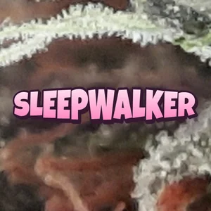 Sleepwalker Cannabis Strain