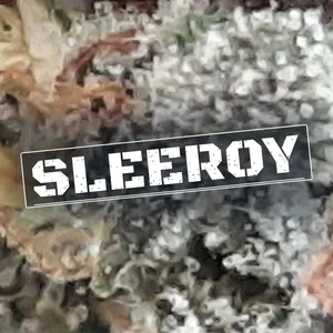Sleeroy Cannabis Strain