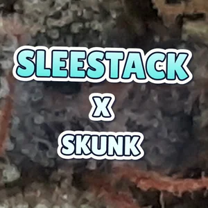 Sleestack x Skunk Cannabis Strain