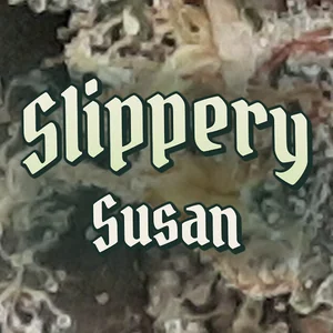 Slippery Susan Cannabis Strain