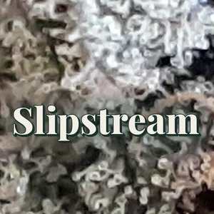 Slipstream Cannabis Strain