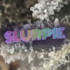 Slurpie Cannabis Strain