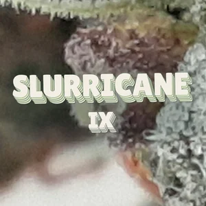 Slurricane IX Cannabis Strain