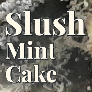 Slush Mint Cake Cannabis Strain