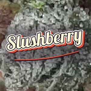 Slushberry Cannabis Strain