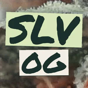 SLV OG Cannabis Strain