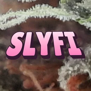 SlyFi Cannabis Strain