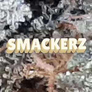 Smackerz Cannabis Strain