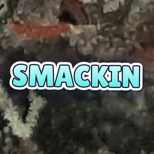 sMACkin Cannabis Strain