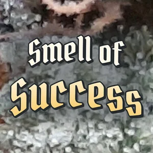 Smell of Success Cannabis Strain