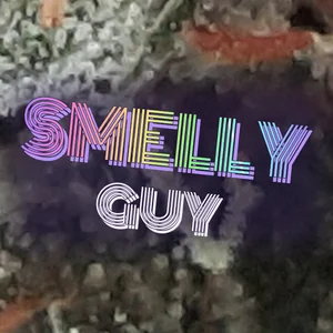 Smelly Guy Cannabis Strain
