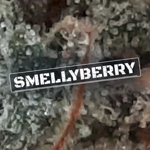 SmellyBerry Cannabis Strain