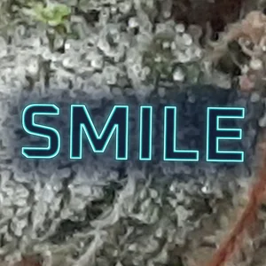Smile Cannabis Strain