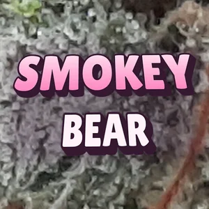 Smokey Bear Cannabis Strain