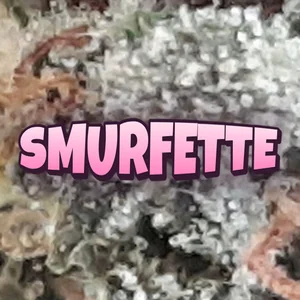Smurfette Cannabis Strain