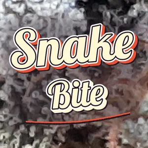 Snake Bite Cannabis Strain