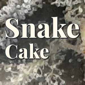 Snake Cake Cannabis Strain