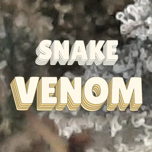 Snake Venom Cannabis Strain