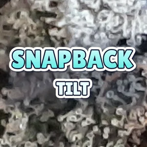 Snapback Tilt Cannabis Strain