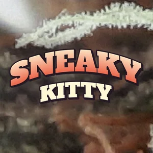 Sneaky Kitty Cannabis Strain