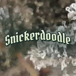 Snickerdoodle Cannabis Strain