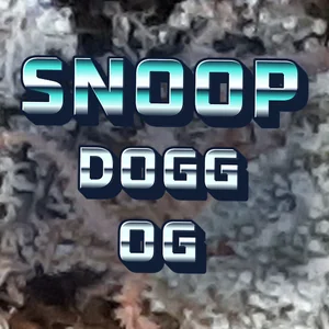 Snoop Dogg OG Cannabis Strain