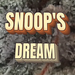 Snoop's Dream Cannabis Strain