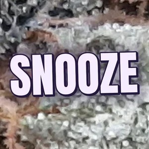 Snooze Cannabis Strain