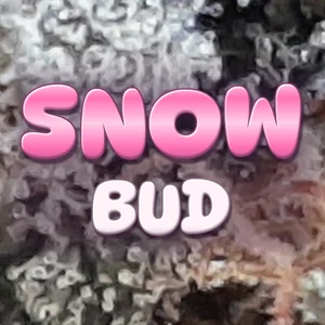 Snow Bud Cannabis Strain