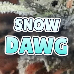 Snow Dawg Cannabis Strain