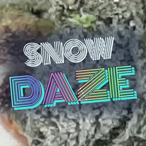 Snow Daze Cannabis Strain