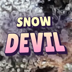 Snow Devil Cannabis Strain