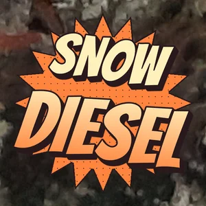 Snow Diesel Cannabis Strain