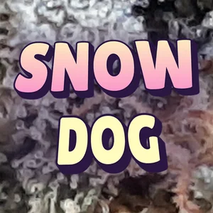 Snow Dog Cannabis Strain