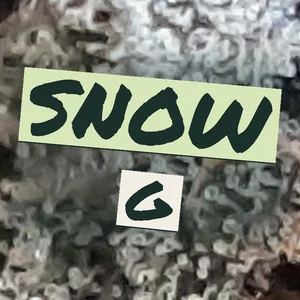 Snow G Cannabis Strain