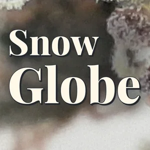 Snow Globe Cannabis Strain