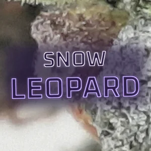 Snow Leopard Cannabis Strain