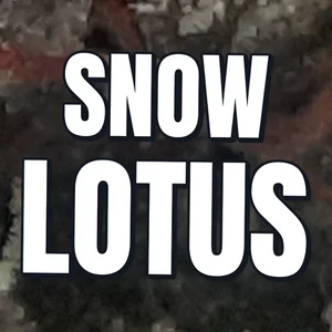 Snow Lotus Cannabis Strain
