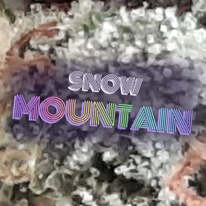 Snow Mountain Cannabis Strain