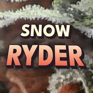 Snow Ryder Cannabis Strain