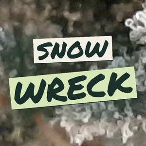 Snow Wreck Cannabis Strain