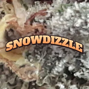Snowdizzle Cannabis Strain