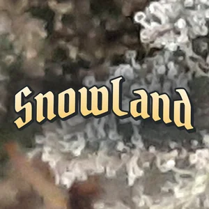 SnowLand Cannabis Strain