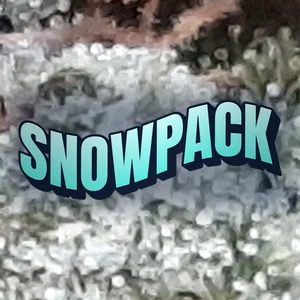 Snowpack Cannabis Strain