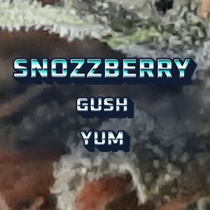 Snozzberry Gush Yum Cannabis Strain